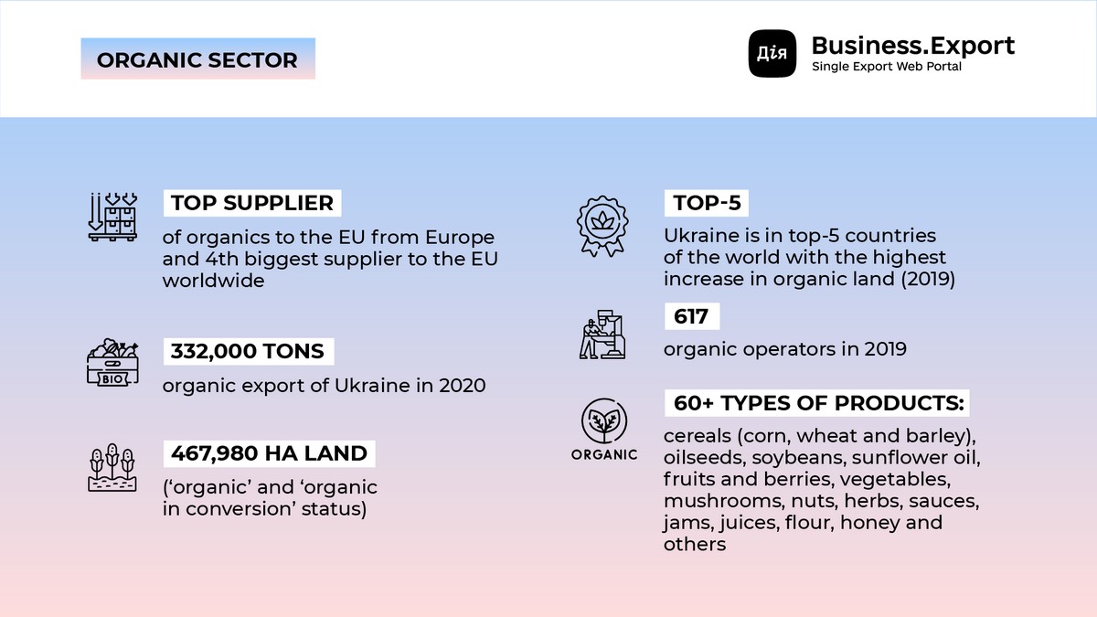 ІТ industry in Ukraine
